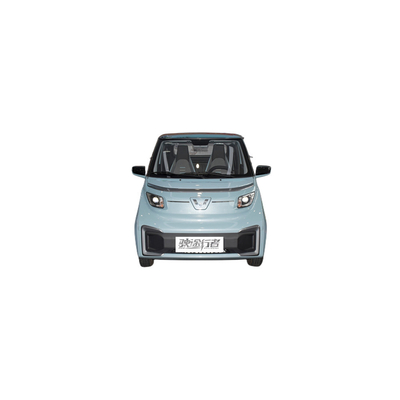 305km 純電動 ウォーリング ナノ Ev 2席 4輪 ミニ E オート 電気自動車 成人用