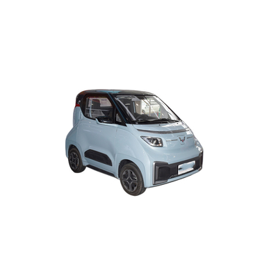305km 純電動 ウォーリング ナノ Ev 2席 4輪 ミニ E オート 電気自動車 成人用