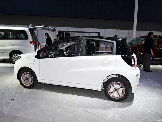 JAC セホール E10X フラワーフェアリー ミニ電気自動車 1100kg 制限重量