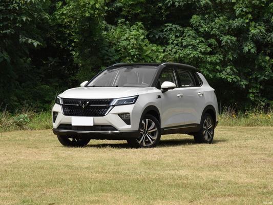 マニュアルパーキングブレーキ 2021 ウーリングスター 1.5T CVT Xingyao Edition 4ドア5座 SUV