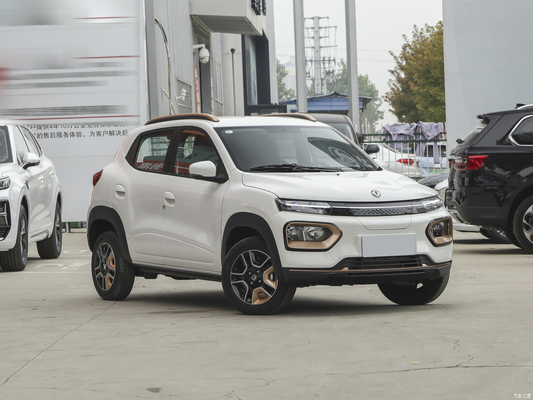 Nammi BoxEV ライト・ウィンド バージョン 標準モデル バッテリー寿命 201KM 中国製 ファミリーカー SUV