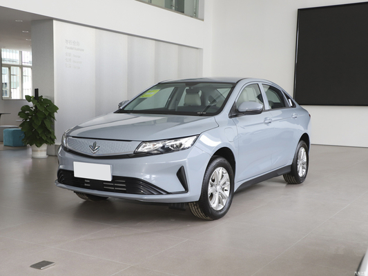 メイプル60s PROを発見 2022年の5人乗り電気自動車の究極の選択