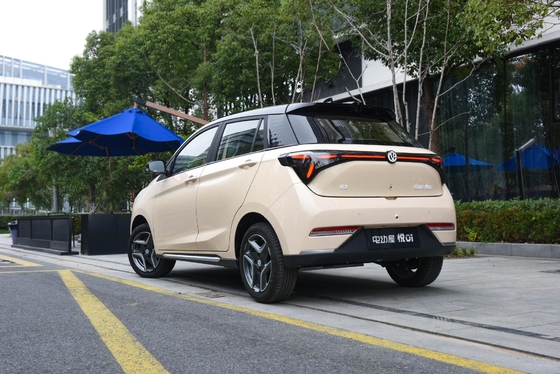 335KM 純電気走行距離 Yue 01 2024 モデル リンギュ バッテリー型 リチウム