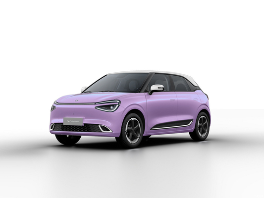 マックス スマートエネルギー 車両 ドンフェン・ナミ 01 2024 430 4030*1810*1570 カービリー構造