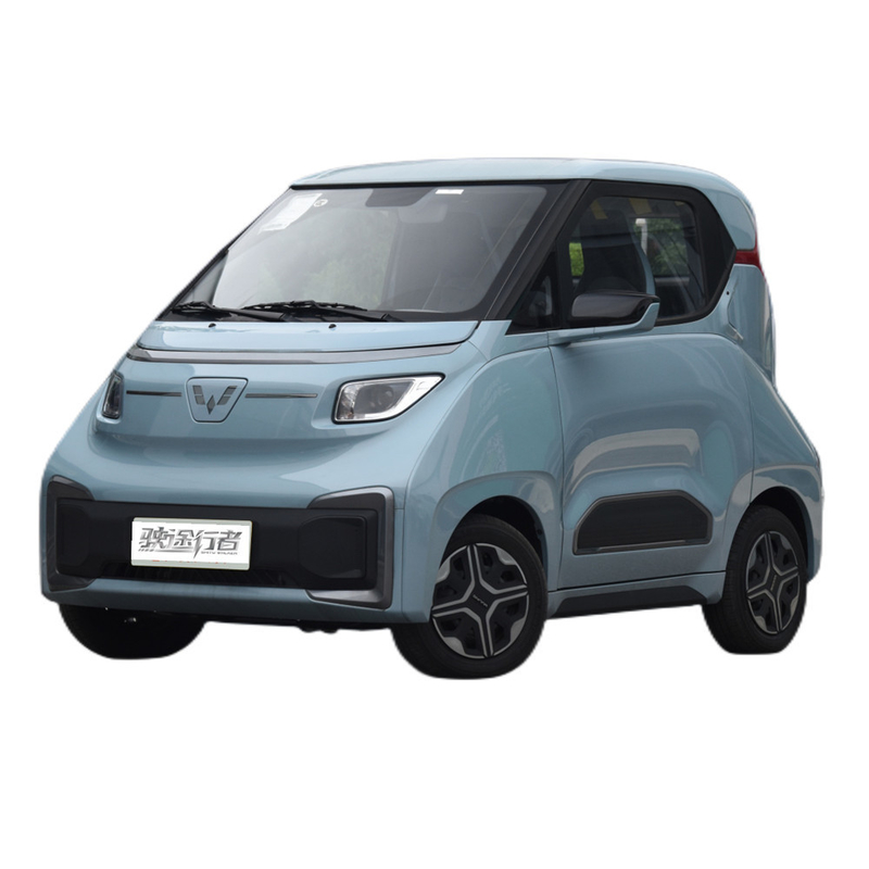 305km 純電動 ウォーリング ナノ Ev 2席 4輪 ミニ E オート 電気自動車 成人用