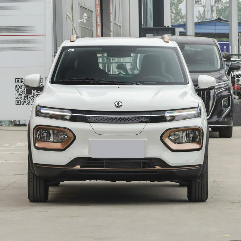 Nammi BoxEV ライト・ウィンド バージョン 標準モデル バッテリー寿命 201KM 中国製 ファミリーカー SUV